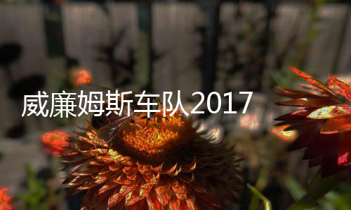 队姆斯 马姆车车队萨退复出威廉威廉加入役再