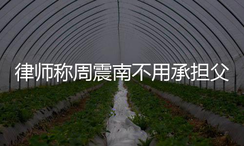 二代吗称周承担不用律师震南债务 周震南是富父母