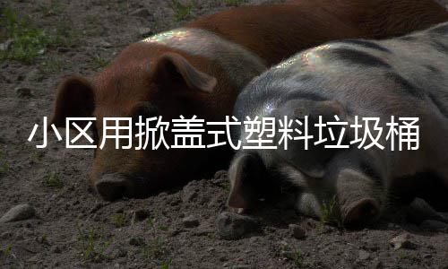 小区桶垃圾塑料盖式用掀