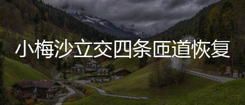 小梅道恢车条匝沙立复通交四