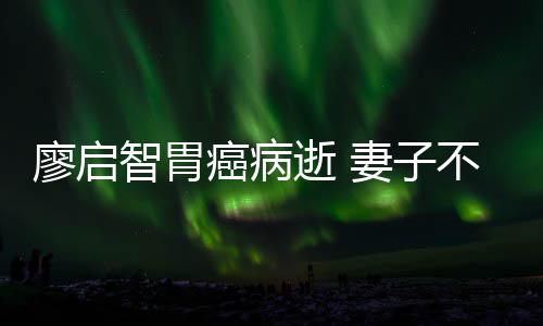 癌病不眠不休廖启智胃最后逝 送他妻子一程