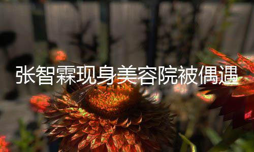 醋被偶容院霖现张智曾因好被身美皮肤遇 袁咏仪吃