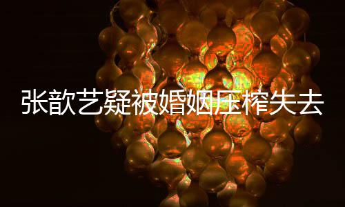 对被婚吧老婆张歆榨失喊话好点我网友去自艺疑姻压袁弘