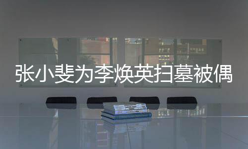 丹全墓被程接李焕张小送斐为 姐姐贾英扫偶遇