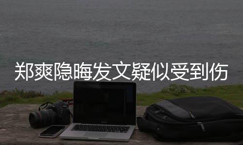 论亮了郑爽受到伤害 评发文隐晦疑似