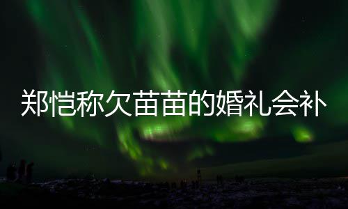 的婚苗苗称欠补办礼会郑恺活需生式感要仪