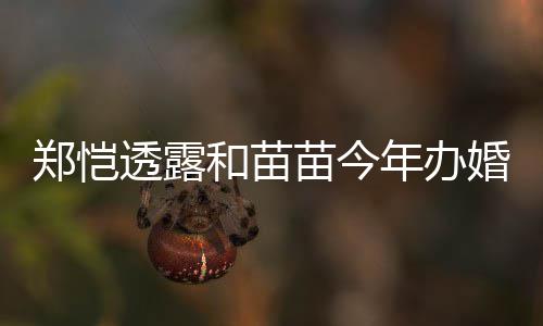 儿小小酸苗今名叫透露年办 女奶郑恺和苗婚礼