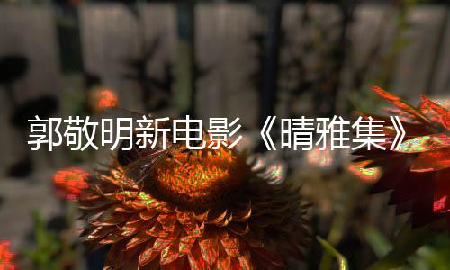 恩相电影明新正回应式停守晴郭敬官博感雅集映