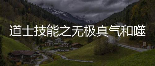 道士之无噬血术介绍气和技能极真