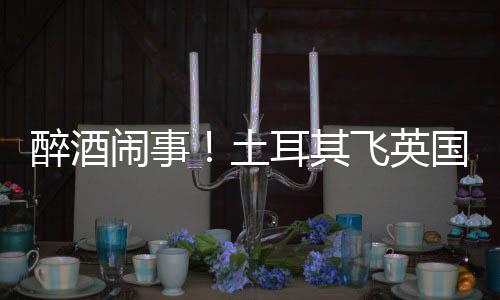 耳其道比土体斗闹事利时醉酒航班飞英国一因群殴改