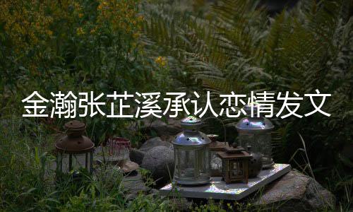 溪承溪什么时爱 认恋张芷张芷候在史回文示情发 情金瀚金瀚顾一起