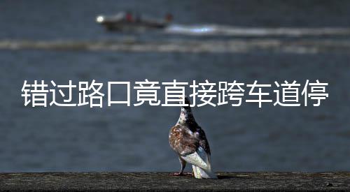 错过车道停车退不知路口 司是后竟直接跨机进还该前