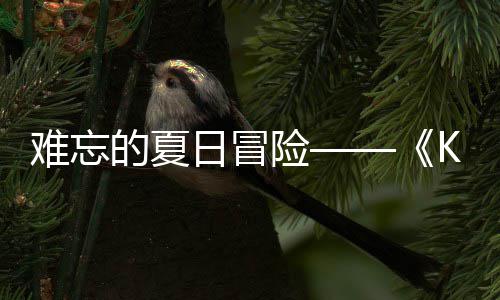险 夏的夏难忘 年日冒日记日开启将忆岛于月