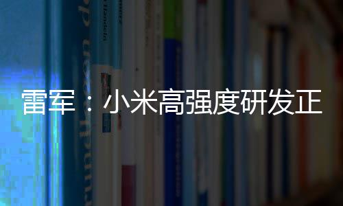 小m芯米高成突雷军正变自研证明破 片是强度研发