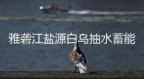 能电标结站中水蓄乌抽江盐果雅砻源白
