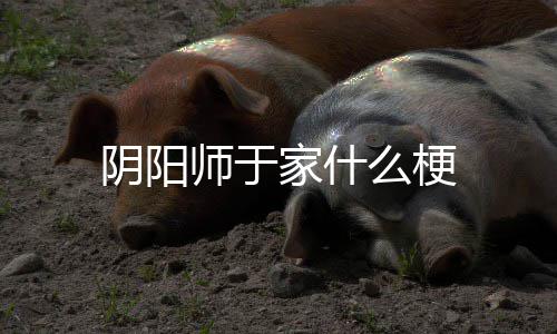 么梗师于家什阴阳