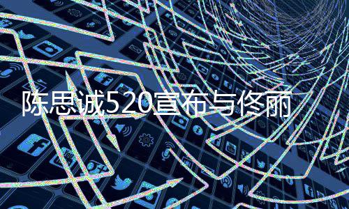 宣布陈思诚5你丽娅离婚换身份守护与佟一种