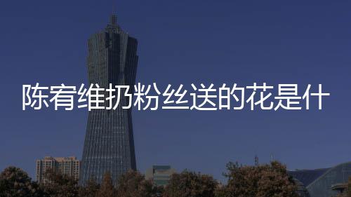 陈宥 陈花是合的送的什么是哪粉丝维扔情况个组宥维