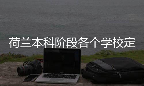 学校定额本科招生荷兰汇总阶段各个