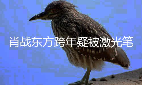 肖战向东方目光明显某方跨年笔照回避射 激光疑被