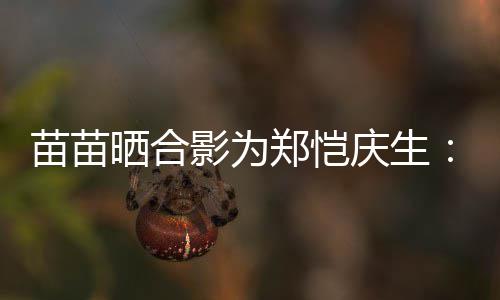 的愿定能苗苗你郑恺晒合实现望一庆生影为