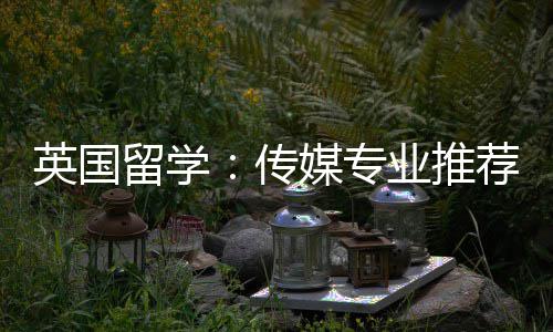 媒专传留学荐英国业推