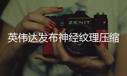显存达发低8可降布神理压占用最高缩 经纹英伟