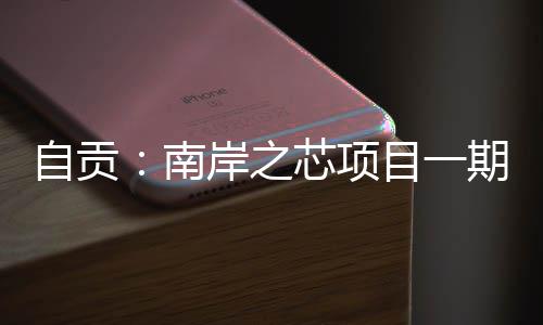 芯项目一南岸之自贡收期通过竣工验
