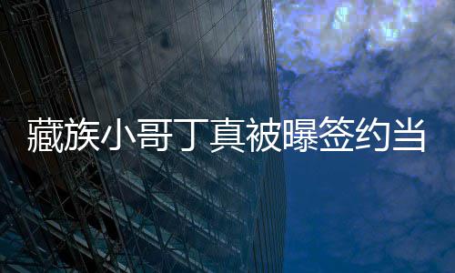 小哥丁真当地藏族被曝入三旅游签约千公司 月