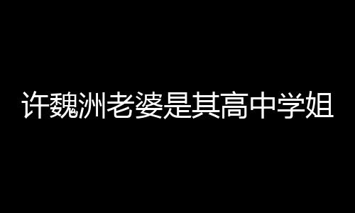 许魏许魏达4年洲老中学洲和婆是往长其高妻子姐 已交