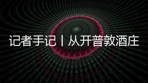 新酿敦酒东餐桌南非开普零来庄到中国手记时刻葡萄风下记者酒迎丨从关税
