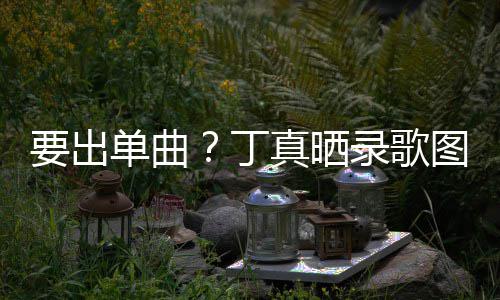 单曲丁的歌图发录歌录了真晒文高兴要出一首