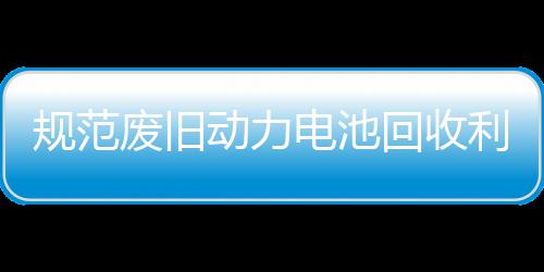 项行动力电池动门联利用展执回收合开废旧法专五部规范
