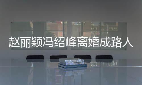 成路产分人 离婚两人赵丽正在做财绍峰网曝割颖冯