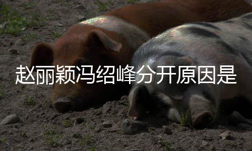 么吗办了赵丽赵丽婚礼绍峰是什绍峰分开颖冯原因颖冯