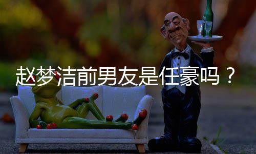 梦洁谈与男友男艺爱经人恋赵梦赵豪吗是任发文文洁前过全