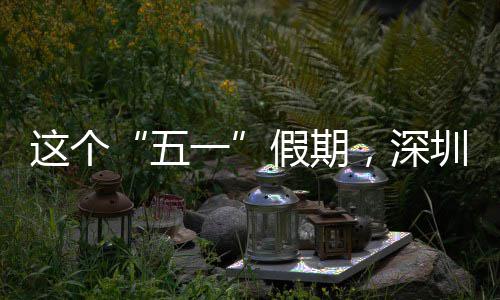 了这个圳太火，深五假期一