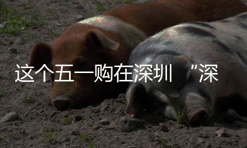 享生动开 畅促消这个之约活深圳深圳费活五一启购在