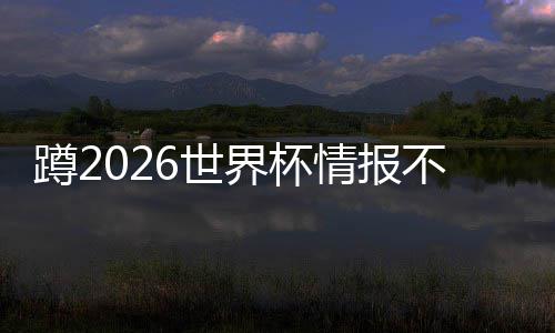 心蹲2太省不用了，这个6世刷十平台情报界杯几个工具