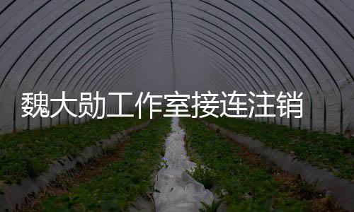勋工面作室注销魏大围涉接连 经及多个方营范