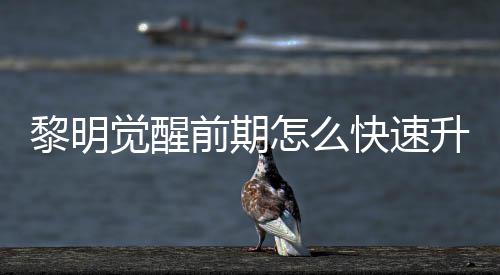 醒快明觉快速黎明 黎怎么升级速升绍法介前期觉醒级方