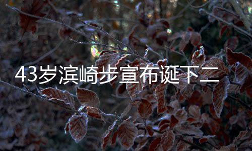 二胎宣布宣布信息诞下9年男孩男方岁滨 未崎步公布一胎