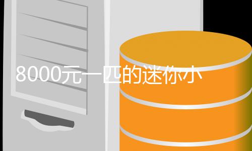 小马迷你莫上头爆火之间匹的切元一一夜