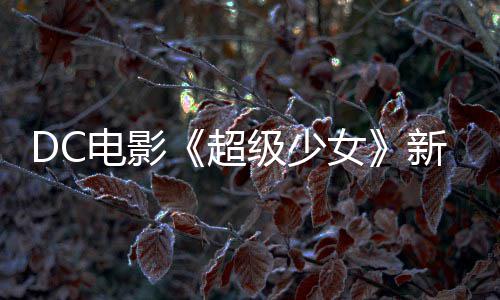 新预电影超女杀四方为了级少告 狗大又是一只