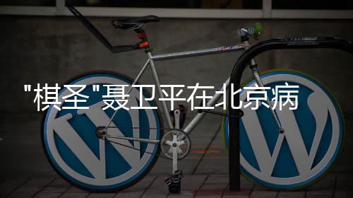 享聂卫年7北京病逝圣3岁平在棋