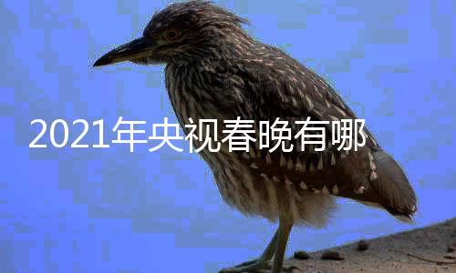 点介年央哪些年春亮点视春视牛绍晚有晚看央